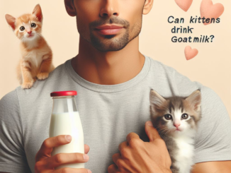 Can Kittens Drink Goat Milk? 1 - kittenshelterhomes.com