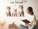 Can Kittens Eat Bread? Do’s and Don’ts 1 - kittenshelterhomes.com