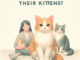 Do Cats Miss Their Kittens? 1 - kittenshelterhomes.com