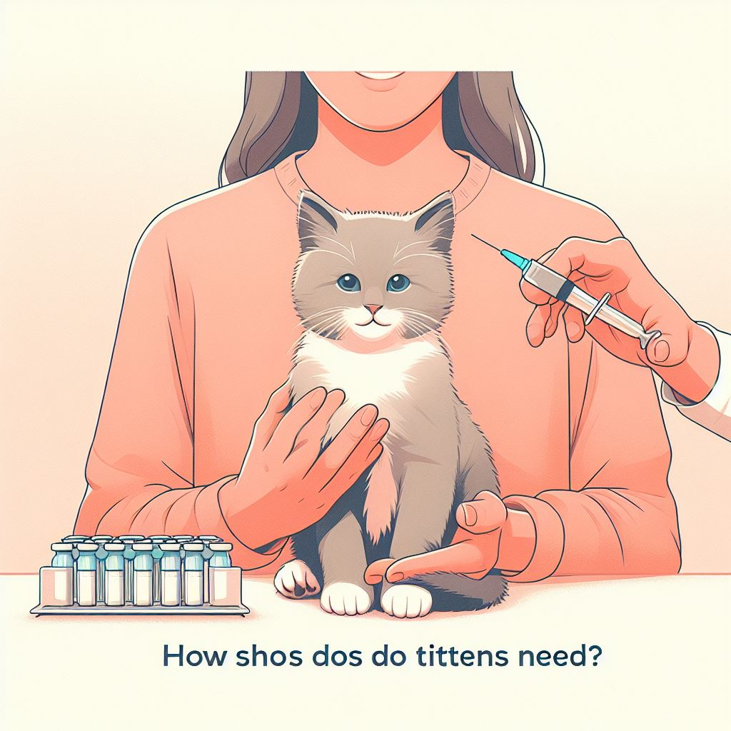 How Many Shots Do Kittens Need 2 - kittenshelterhomes.com