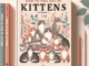 How to Tell Age of Kittens 1 - kittenshelterhomes.com