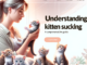 When Do Kittens Stop Suckling? 1 - kittenshelterhomes.com
