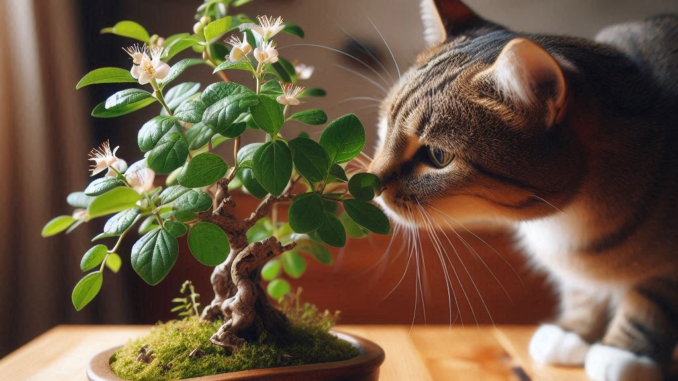 Are Bonsai Trees Poisonous to Cats? 2 - kittenshelterhomes.com