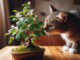 Are Bonsai Trees Poisonous to Cats? 2 - kittenshelterhomes.com