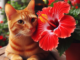 Are Hibiscus Poisonous to Cats? 2 - kittenshelterhomes.com