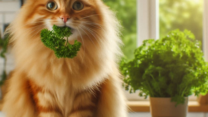 Can Cats Have Parsley Guide 2 - kittenshelterhomes.com