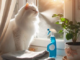 Is Febreze Safe for Cats? A Pet Owner's Guide 2 - kittenshelterhomes.com