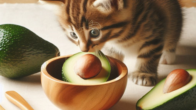 What Human Food Can Cats Eat and Which to Avoid? 2 - kittenshelterhomes.com